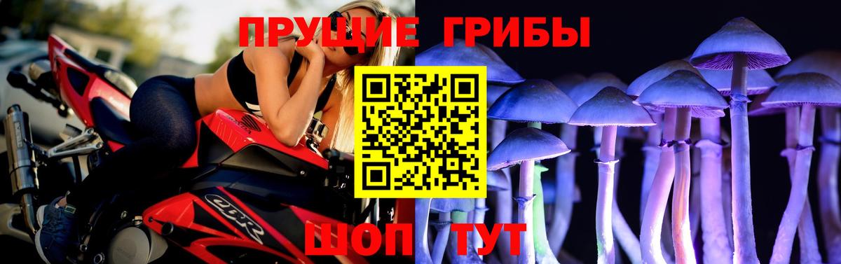 Сарапул  Псилоцибиновые грибы GOLDEN TEACHER  сколько стоит  Вход с VPN  Псилоцибиновые грибы прущие грибы 
